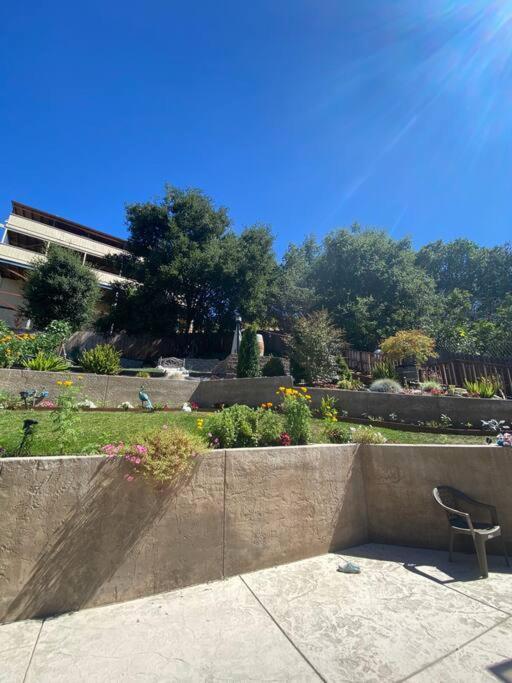 Luxury Modern Home Near Uc Berkeley With Swim Spa Rodeo Exterior photo